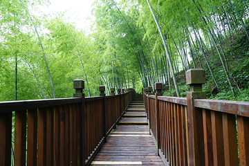 宜兴竹海风景区第 31 张图片