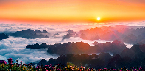 天上花海景区第 21 张图片