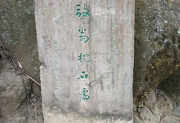 荣县大佛第 17 张图片