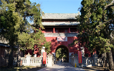 孔林第 14 张图片