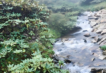 苍山洗马潭索道第 31 张图片
