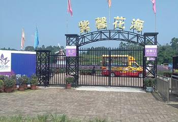 紫馨花海第 6 张图片