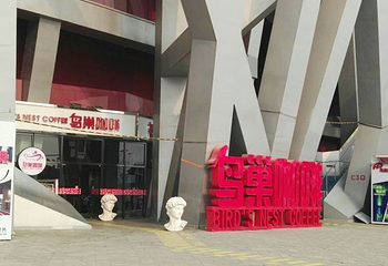 鸟巢空中走廊第 27 张图片