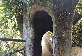 天台山景区第 141 张图片