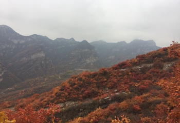 坡峰岭第 62 张图片