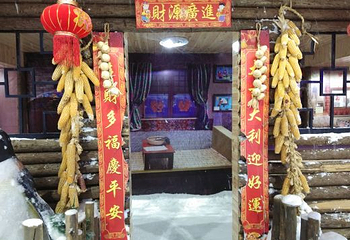 石林冰雪海洋世界第 41 张图片