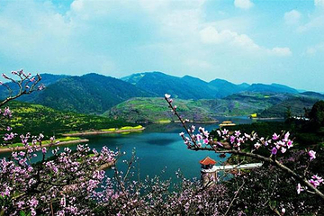 桃源生态旅游区-桃花湖第 13 张图片
