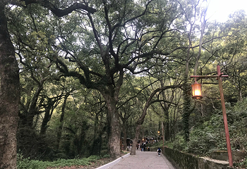 慧济禅寺第 24 张图片