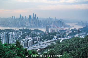 南山一棵树观景台第 27 张图片