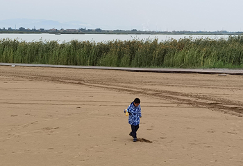 沙湖生态旅游区第 38 张图片