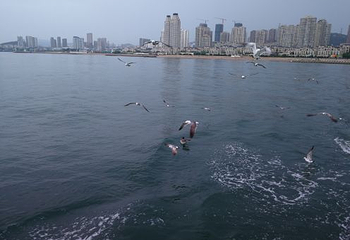 大连星海湾游艇港码头第 12 张图片