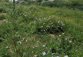 梅力更自然生态风景区第 30 张图片