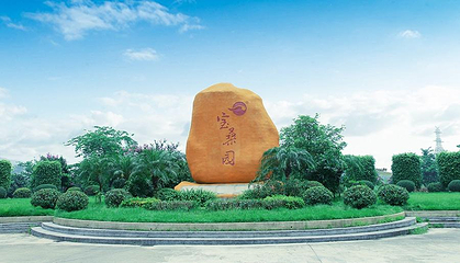 宝桑园第 73 张图片