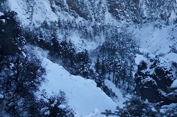 西岭雪山（滑雪场景区）第 63 张图片