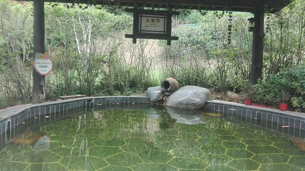 宁乡灰汤紫龙湾温泉度假区第 38 张图片
