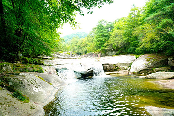 云雾山风景区第 29 张图片
