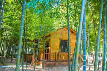 龙寺生态园第 15 张图片