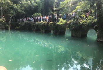 荔波四季花海第 19 张图片