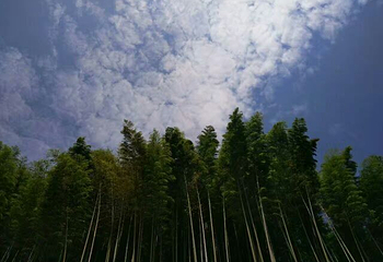 普照山第 5 张图片