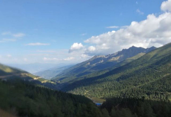 白马雪山第 31 张图片