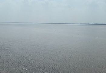 海宁潮第 19 张图片