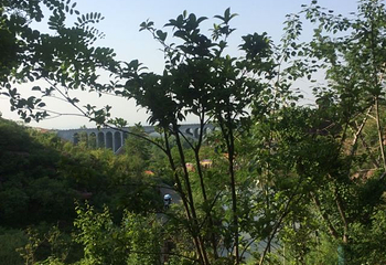 万安山旅游度假区七彩大峡谷第 63 张图片