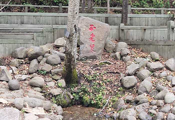 青山国家森林公园第 4 张图片