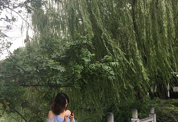 包拯主墓第 18 张图片