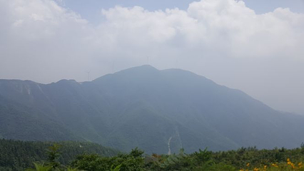 大熊山国家森林公园第 28 张图片