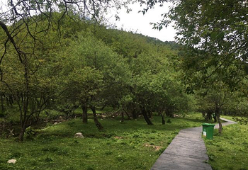 大水川第 27 张图片