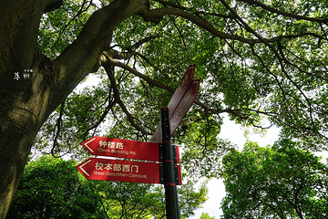东吴大学旧址第 9 张图片