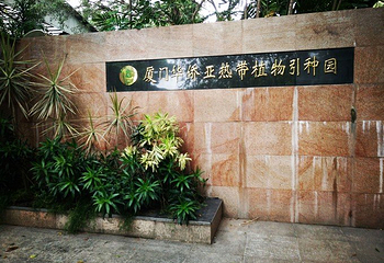 厦门华侨亚热带植物引种园第 16 张图片