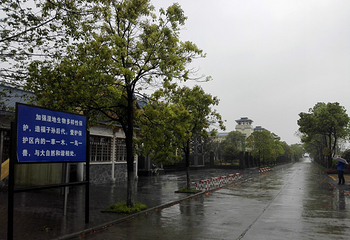 石首糜鹿自然保护区第 4 张图片