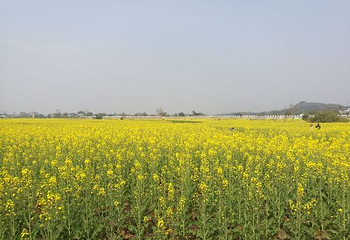 葫芦坝睡养小镇第 32 张图片