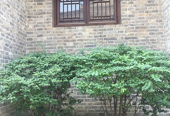 关中书院第 27 张图片