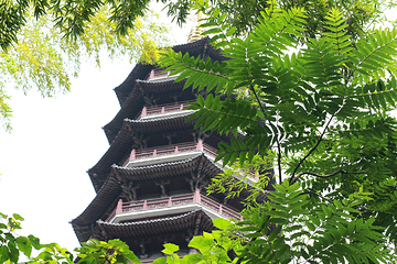 天童禅寺第 32 张图片