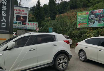 华蓥山天意谷景区第 41 张图片