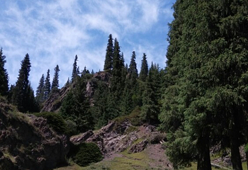 南山牧场西白杨沟景区第 42 张图片