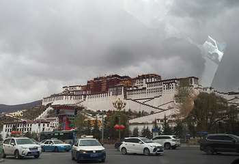 拉萨清真大寺第 9 张图片