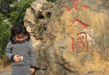桃园小人国第 8 张图片