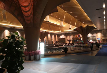 天津观湖城堡温泉第 50 张图片