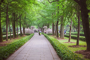 石象路第 15 张图片