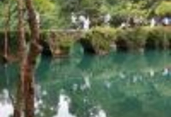 贵阳红枫大冲村樱花园第 5 张图片