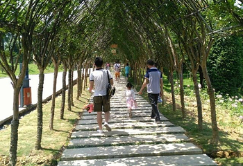 黔北花海第 14 张图片