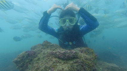 海棠湾第 155 张图片
