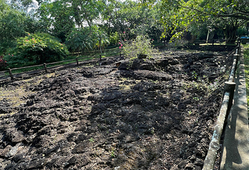 雷琼海口火山群世界地质公园第 93 张图片