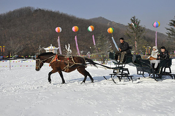 唐风嬉雪滑雪乐园第 4 张图片