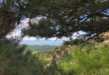 桃源仙谷自然风景区第 33 张图片