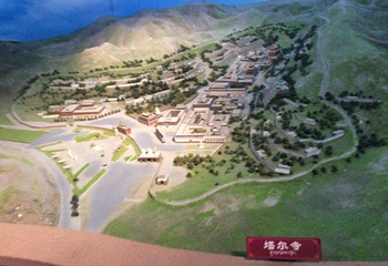 青海藏文化博物院第 184 张图片