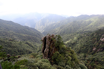 羊狮慕风景区第 73 张图片